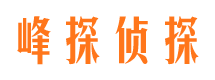 莎车市调查公司